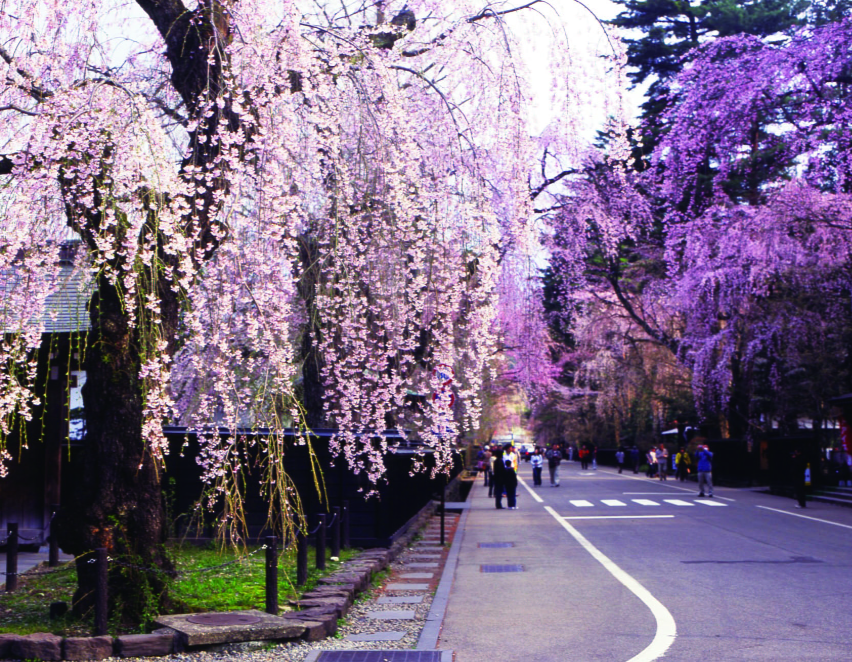旅行先の風景