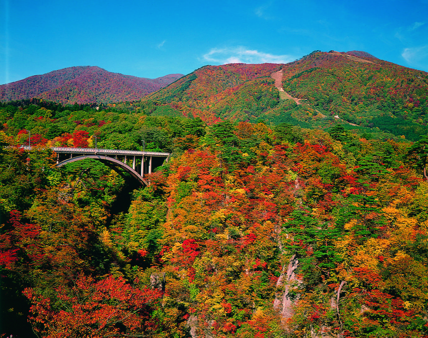 旅行先の風景