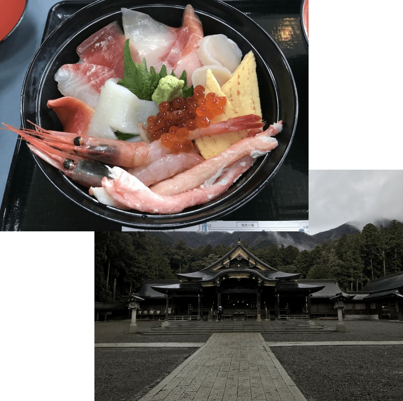 旅行先の写真