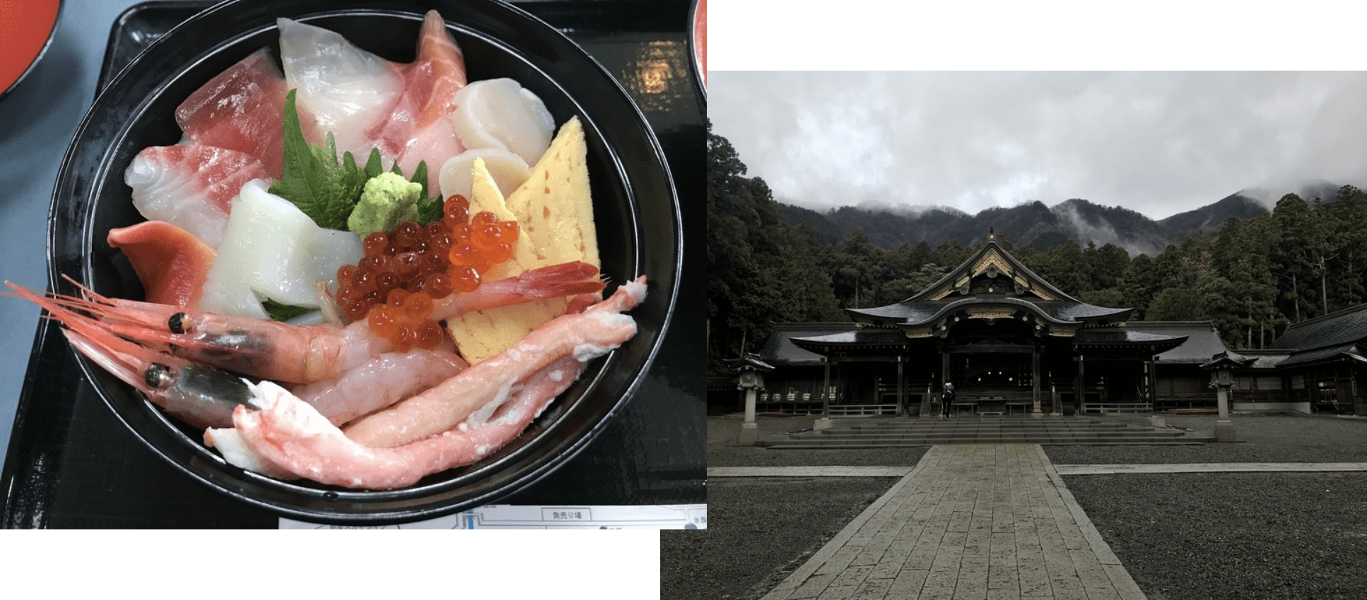 旅行先の写真
